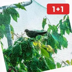 원예 새 그물 망 방조망 농작물 보호 참새 (1+1)