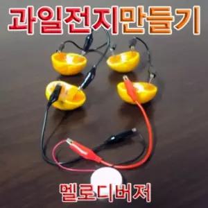 과일 전지 만들기 멜로디 버저 1인용과학교구 실험 키트 학습 교재 교육용