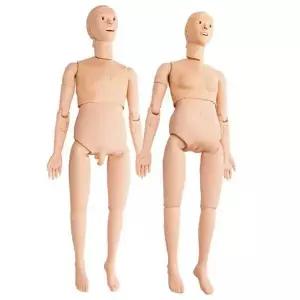 실습용 마네킹 인체 디자인 모델 교구 모형 여성용 전신 더미 사진 교육 인형 남성