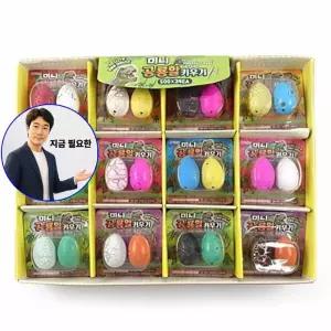지금 필요한 미니공룡알키우기 공룡 24개묶음판매
