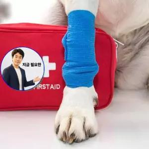 지금 필요한 1P 붕대 반려동물 응급처치 기능성 부착 RC1079 동물병원
