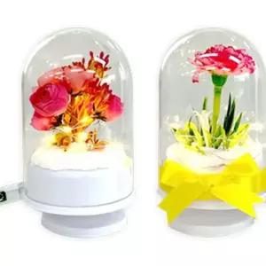 (TD) LED 조화 돔 오르골 (라넌큘러스 )만들기키트 만들기세트 만들기재료 미술만들기 수업