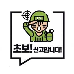 [아우트_66]야광스티커 초보운전 신고합니다 클레버819
