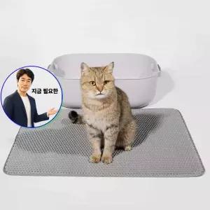 지금 필요한 모래 사막화 강아매트 고양이 매트 발판 화장실 벌집모양