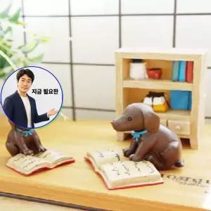지금 필요한 미니어쳐하우스 몰리 도서관 3종
