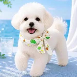 고양이 반려동물 스카프 야외 산책 외출 강아지 쿨링