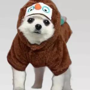 패리스독 캐릭터 후드점퍼 부엉이 강아지옷 애견의류