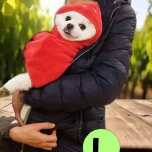 캐릭터 웜 공룡 L-XL 가운 레드 담요 패리스독