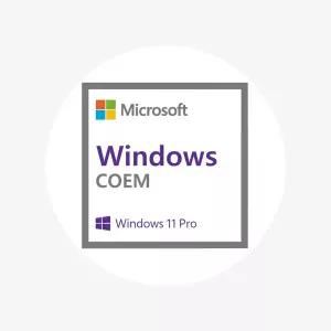 마이크로소프트 윈도우 Windows 11 Pro 64bit COEM 한글