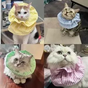 조절 가능한 소프트 엘 칼라 고양이 목걸이 구충 핥음 방지 및 물림 후