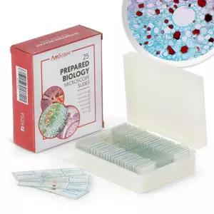 식물 곰팡이 곤충 및 포유류 표본이 포함된 플라스틱 케이스에 담긴 AmScope 25pc 준비 유리 현미경