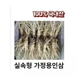 실속형 5년근 6년근 가정용인삼 1kg (16-20뿌리) 세척인삼 1kg 수삼 금산인삼 인삼 홍삼 수삼선물세트