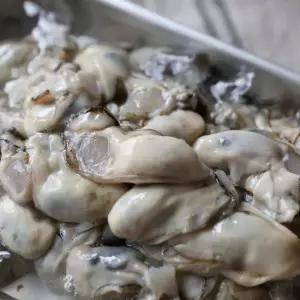 당일조업 산지직송 통영에서 온 햇 생굴 2kg