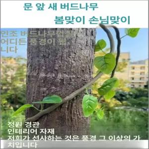 나무껍질시트지 접착 인테리어 나무껍질 침실 시트지