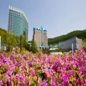 [강원 호텔] 하이원 그랜드 호텔 컨벤션타워 (영월,정선)