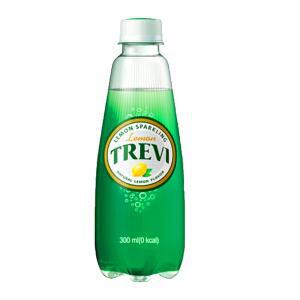 트레비 탄산수 라임 레몬 자몽 플레인 300ml 20입 모음