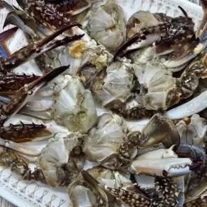 국내산 손질 절단 냉동 꽃게 1kg 고소한 활꽃게 무침