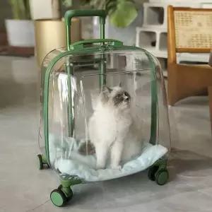 애완동물 고양이 가방 여행용 이동장 케이스 대형 투명 휴대용 확장형 하드 손수레