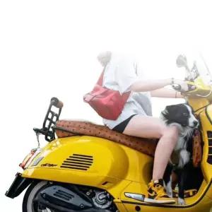 접이식 등받이 시트 텐덤 허리 패드 바이크 상자 안장 쿠션 보호 헬멧 배달통 탑박스 상체