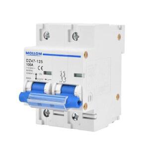 몰롬 AC 2극 미니어처 회로 차단기, 110V-240V 100암페어, 장면 시각화 맞춤형 MCB 열자기 트립, 태양열 시스템용 6KA 차단 용량, 가정용, RV
