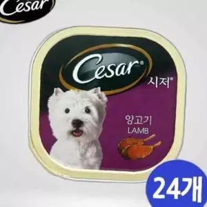 시저캔 강아지 양고기 24개 1박스 통조림 개통조림 통조림 강아지