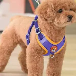 강아지 하네스 애완 중형견 푸들 반려견 산책 가슴줄