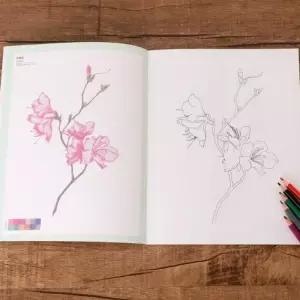 어르신 색칠공부도안컬러링북 컬노트 컬세트 컬책 취미컬 놀이 공부 수채화그림 드로잉 그리기 컬도서 꽃그