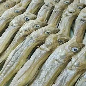 줄 노가리 20마리 5줄 클래시컬 국민 주전부리 는 맛 일품 간식 안주