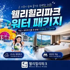 웰리힐리파크 워터파크 패키지(~8/22)