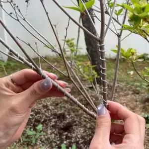 조경 화분 분재 철사 1.0mm 원예용 알루미늄 와이어