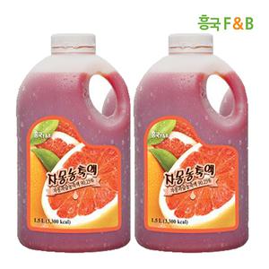 흥국FB 자몽농축액 1.5L 2개