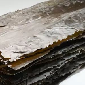 백송식품 완도다시마 1kg 다시마 육수 국물용/대용량