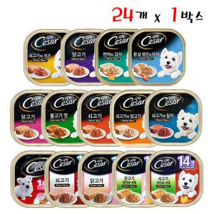 시저 주식캔 습식 100g 24개입 강아지간식
