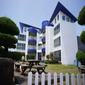 [제주 게스트하우스] 제주 유니콘 (서귀포시,중문,모슬포)