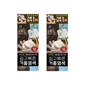 [미쟝센] 미쟝센 올뉴 쉽고빠른거품염색 4N 짙은갈색 2개