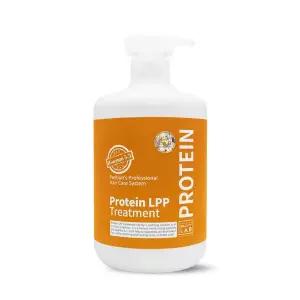 박준뷰티랩 LPP 단백질 트리트먼트 헤어 팩, 1000ml, 1개