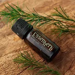 에센허브 티트리 100 오일 10ml 229071