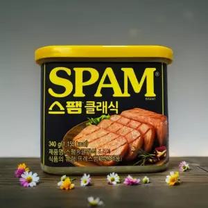 CJ제일제당 스팸 클래식 340g 10개