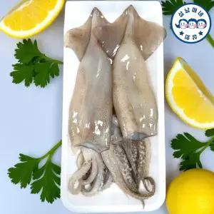 [오남매네] 자연산 손질오징어 통오징어 500g 2미 10팩 (20마리)