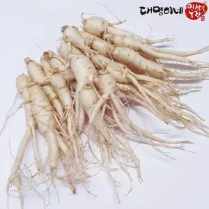 [대명이네 인삼농장]오쿠용 1회분 세척 인삼/수삼/난발 10-35편(250g)