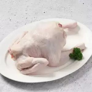 토종닭 1.3kg