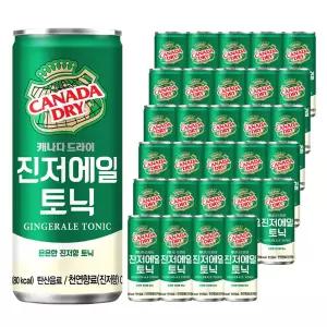 캐나다드라이 진저에일 토닉