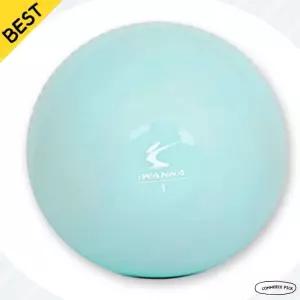 [1kg 스트레칭] 아이워너 소프트 토닝볼 2개 세트 마사지 웨이트 픽앤코501