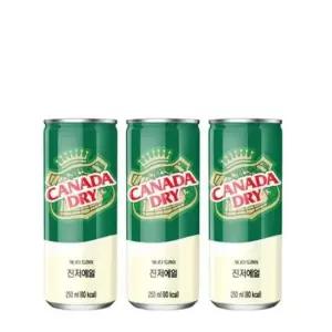 캐나다 진저엘 250CAN X30