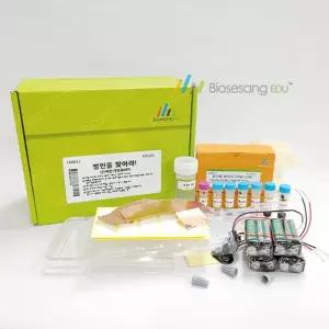 전기 영동 과학 실험 키트 5인/과학놀이/과학놀이키트/과학도구/과학로켓/과학만들기/과학만들기교구