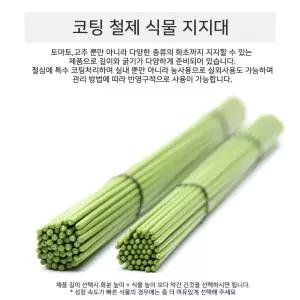 식물 지지대 철제 지주대 4mmx80cm 50개 조경용품 정원분무기 옥상텃밭 활용도가높은