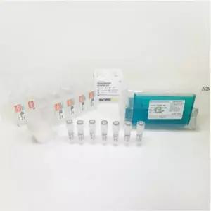 Human DNA 추출 PCR 실험키트(생명과학실험키트)