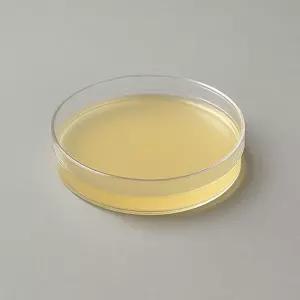 Lb Agar Plate(대장균 배양배지 미생물배양지 고체배지)