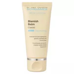 슈라멕 블레미쉬 밤 클래식 비비크림 30ml