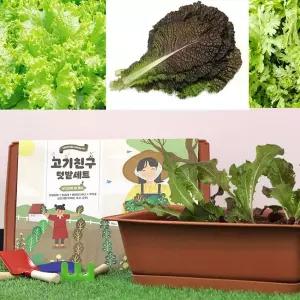 셀프재배 상추 적겨자 쑥갓 텃밭가꾸기 세트